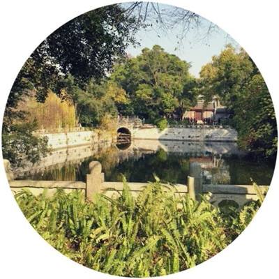 大仙宗手游下载